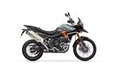 Daumennagel 10 - Triumph Tiger 900 Desert Edition MY26 Akrapovic