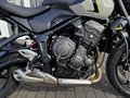 Thumbnail 12 - Triumph Trident 660 MY26 Quickshifter+Lager