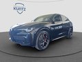 Daumennagel 3 - Alfa Romeo Stelvio Veloce Q4