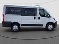 Thumbnail 6 - Fiat Ducato Luxusbus Panorama L1H1 8+SitzerCarplay