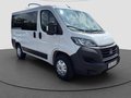 Thumbnail 7 - Fiat Ducato Luxusbus Panorama L1H1 8+SitzerCarplay