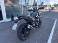 Daumennagel 4 - Triumph Scrambler 400 X Bullet Blinker+Schutzbügel