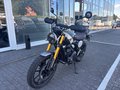 Daumennagel 8 - Triumph Scrambler 400 X Bullet Blinker+Schutzbügel