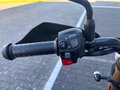 Daumennagel 13 - Triumph Scrambler 400 X Bullet Blinker+Schutzbügel