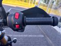 Daumennagel 14 - Triumph Scrambler 400 X Bullet Blinker+Schutzbügel