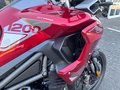 Daumennagel 12 - Triumph Tiger 1200 GT PRO MY25 Kundenvorteil -2000€