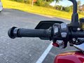 Daumennagel 18 - Triumph Tiger 1200 GT PRO MY25 Kundenvorteil -2000€
