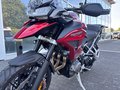 Daumennagel 21 - Triumph Tiger 1200 GT PRO MY25 Kundenvorteil -2000€