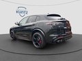 Daumennagel 3 - Alfa Romeo Stelvio Quadrifoglio Q4 2.9 V6 Akrapovic+21 Zoll