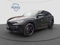 Daumennagel 1 - Alfa Romeo Stelvio Quadrifoglio Q4 2.9 V6 Akrapovic+21 Zoll