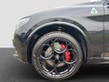 Daumennagel 24 - Alfa Romeo Stelvio Quadrifoglio Q4 2.9 V6 Akrapovic+21 Zoll