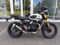 Daumennagel 3 - Triumph Scrambler 400XC NEU! Sofort Verfügbar