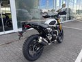 Daumennagel 4 - Triumph Scrambler 400XC NEU! Sofort Verfügbar
