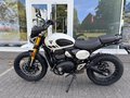 Daumennagel 7 - Triumph Scrambler 400XC NEU! Sofort Verfügbar