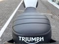 Daumennagel 17 - Triumph Scrambler 400XC NEU! Sofort Verfügbar