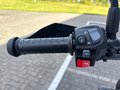Daumennagel 20 - Triumph Scrambler 400XC NEU! Sofort Verfügbar