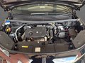 Daumennagel 19 - DS Automobiles DS 7 Étoile Tech+Comfort Paket+AHK
