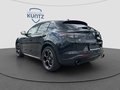 Daumennagel 3 - Alfa Romeo Stelvio 2.2 Diesel 16V 154kW Q4 Panorama-Dach,AHK,Navi