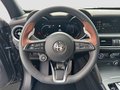 Daumennagel 10 - Alfa Romeo Stelvio 2.2 Diesel 16V 154kW Q4 Panorama-Dach,AHK,Navi