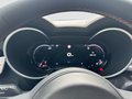 Daumennagel 11 - Alfa Romeo Stelvio 2.2 Diesel 16V 154kW Q4 Panorama-Dach,AHK,Navi