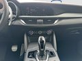 Daumennagel 14 - Alfa Romeo Stelvio 2.2 Diesel 16V 154kW Q4 Panorama-Dach,AHK,Navi