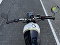 Daumennagel 16 - Triumph Speed 400 Roadster-Fahrwerk+ABS