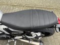 Thumbnail 18 - Triumph Speed Twin 1200 MY25 4 Jahre Garantie Kurven-ABS