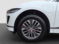 Daumennagel 19 - Jaguar I-PACE EV400 S Winter Paket,Ladekabel,Ambiente