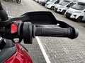 Daumennagel 12 - Triumph Tiger 900 GT Pro Kundenvorteil -950€