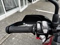 Daumennagel 10 - Triumph Tiger 900 GT Pro Kundenvorteil -950€