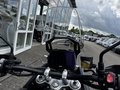 Daumennagel 9 - Triumph Tiger 900 GT Pro Kundenvorteil -950€