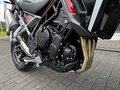 Daumennagel 14 - Triumph Tiger 900 GT Pro Kundenvorteil -950€