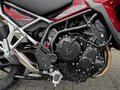 Daumennagel 13 - Triumph Tiger 900 GT Pro Kundenvorteil -950€