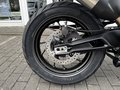 Daumennagel 15 - Triumph Tiger 900 GT Pro Kundenvorteil -950€