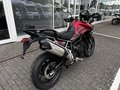 Daumennagel 4 - Triumph Tiger 900 GT Pro Kundenvorteil -950€