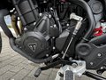 Daumennagel 17 - Triumph Tiger 900 GT Pro Kundenvorteil -950€