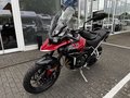 Daumennagel 7 - Triumph Tiger 900 GT Pro Kundenvorteil -950€