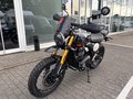 Daumennagel 11 - Triumph Scrambler 400XC NEU! Sofort Verfügbar
