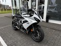 Daumennagel 2 - Triumph Daytona 660 Kundenvorteil -660€ +A2-möglich