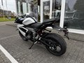 Daumennagel 6 - Triumph Daytona 660 Kundenvorteil -660€ +A2-möglich
