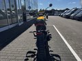 Daumennagel 5 - Triumph Scrambler 400XC NEU! Sofort Verfügbar