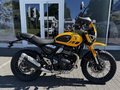 Daumennagel 3 - Triumph Scrambler 400XC NEU! Sofort Verfügbar
