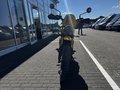 Daumennagel 9 - Triumph Scrambler 400XC NEU! Sofort Verfügbar