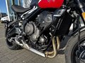 Daumennagel 19 - Triumph Trident 660 A2-Kompatibel+Tempomat+Shift-Assist