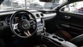 Daumennagel 9 - Ford Mustang 2.3 ECOBOOST KAM NAVI SHZ SBL TEMPOMAT