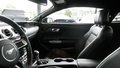Daumennagel 17 - Ford Mustang 2.3 ECOBOOST KAM NAVI SHZ SBL TEMPOMAT
