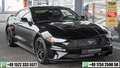 Daumennagel 1 - Ford Mustang 2.3 ECOBOOST KAM NAVI SHZ SBL TEMPOMAT