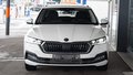 Daumennagel 2 - Skoda Octavia Combi 1.0 TSI ACC SPUR KAM AHK NAVI