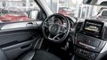 Daumennagel 29 - Mercedes-Benz GLE 250 d 4MATIC KAM SPUR TOT AHK SCHIEBEDACH