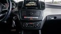 Daumennagel 23 - Mercedes-Benz GLE 250 d 4MATIC KAM SPUR TOT AHK SCHIEBEDACH